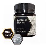 PBeesマヌカハニーMGO570+