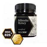 PBeesマヌカハニーMGO826+最高級クラス